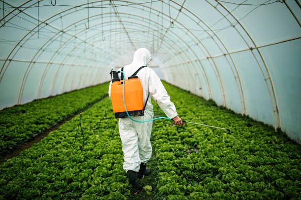 Best Pest Inspection Near Me  in Scottsdale, AZ