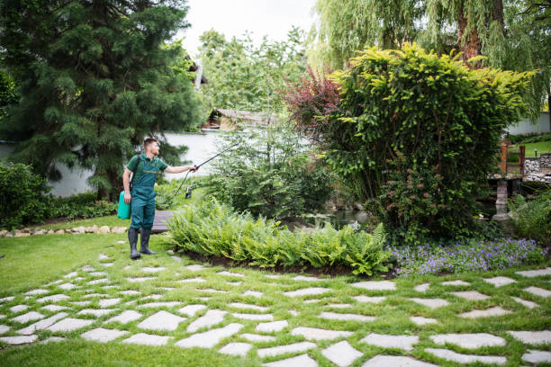 Best Local Pest Control Services  in Scottsdale, AZ