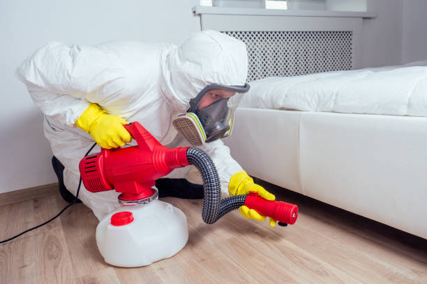 Best Flea Control Services  in Scottsdale, AZ