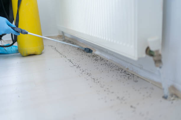 Best Best Pest Control Companies  in Scottsdale, AZ