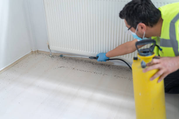 Best Pest Prevention Services  in Scottsdale, AZ