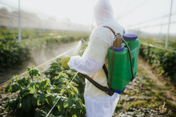 Best Mosquito Control Services  in Scottsdale, AZ